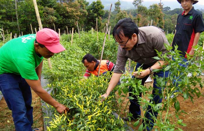 BKP Kementan Ajak Kaum Ibu Manfaatkan 10,3 Juta Ha Lahan Tidur untuk KRPL